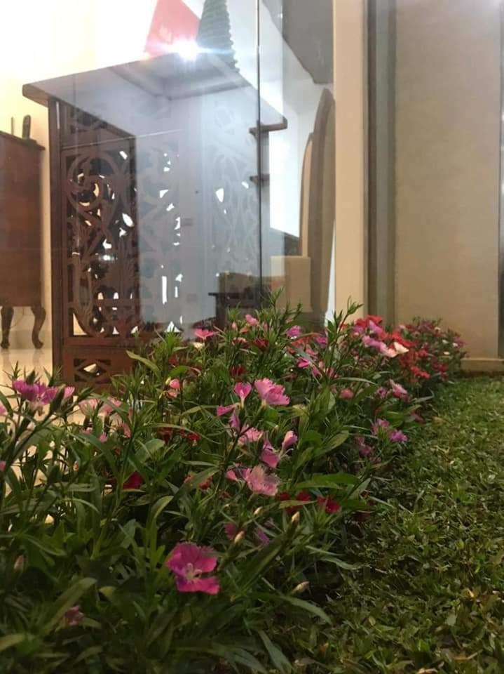 Ivy Bungalow Nuwara Eliya Bagian luar foto